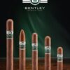 Bentley Nicaragua Robusto 20 er Box Zigarren – Bild 2