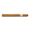 Davidoff Signature Ambassadrice 10 er Case Cigars - Image 2
