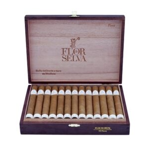 Flor de Selva Fino 25 er Kiste Zigarren