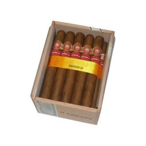 Sigari H.Upmann Magnum 50 25er Kistli