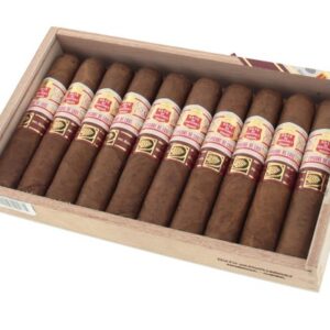 Hoyo de Monterrey Epicure de Luxe Scatola da 10 sigari