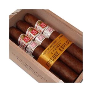 Hoyo de Monterrey Epicure Especial 10er Kistli Sigari