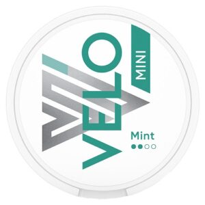 Velo Mint Mini Portionen