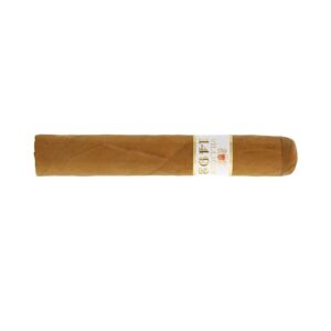 Villiger 1492 Robusto 20 er boîte de cigares