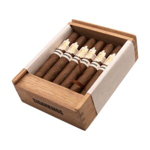 Cigarkings Maduro Robusto 12er Kistli Zigarren