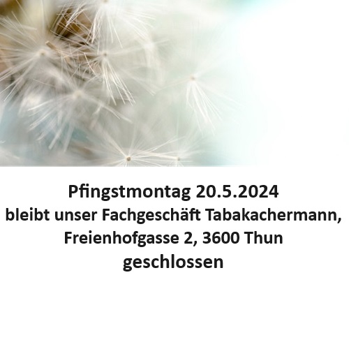 Pfingstmontag 2024