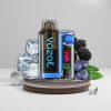 Vozol Vista Plug Starter Kit 20mg Blue Razz ICE