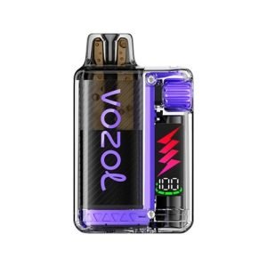 Vozol Vista Plug Starter Kit 20mg Grape ICE