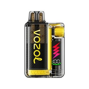 Vozol Vista Plug Starter Kit 20mg Mango ICE