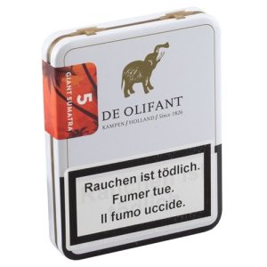De Olifant Gigante Sumatra 1 x 5 pz.