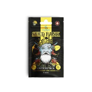 CK Seeds Critical Jack feminisiert 3 Stk.